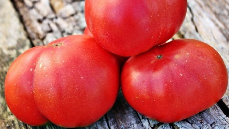 5 кращих сортів великих і мясистих томатів 2020 року