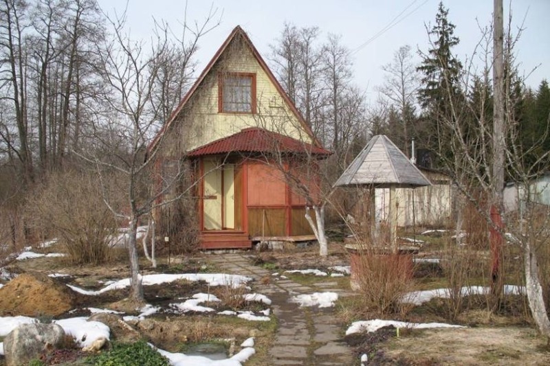 Що я роблю в березні на городі, щоб рік був врожайним