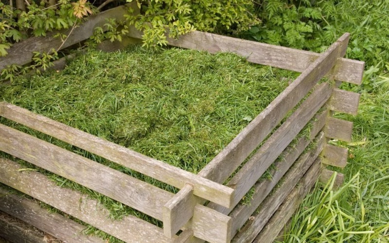 6 корисних застосувань трави, скошеної на газоні
