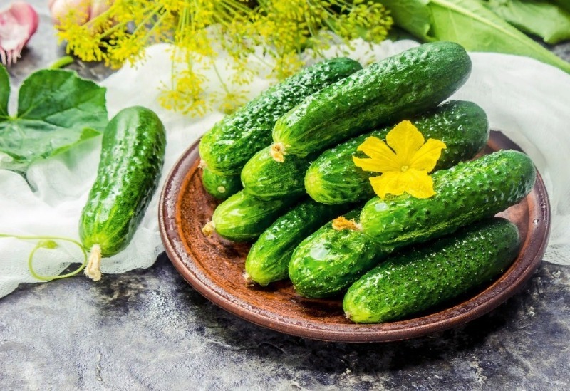 7 суперпучкових огірків, які відрізняються диво-урожаєм і неймовірним смаком