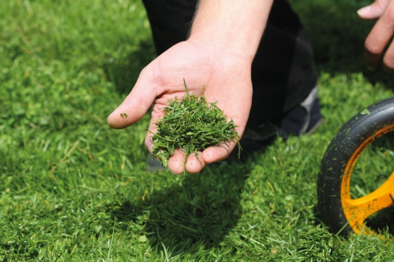 6 корисних застосувань трави, скошеної на газоні