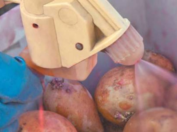 Препарат престиж для обробки картоплі: особливості та аналоги