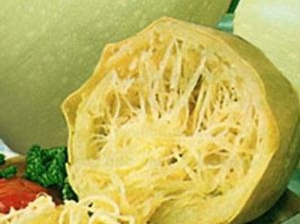 Білоплідні кабачки: популярні сорти і вирощування