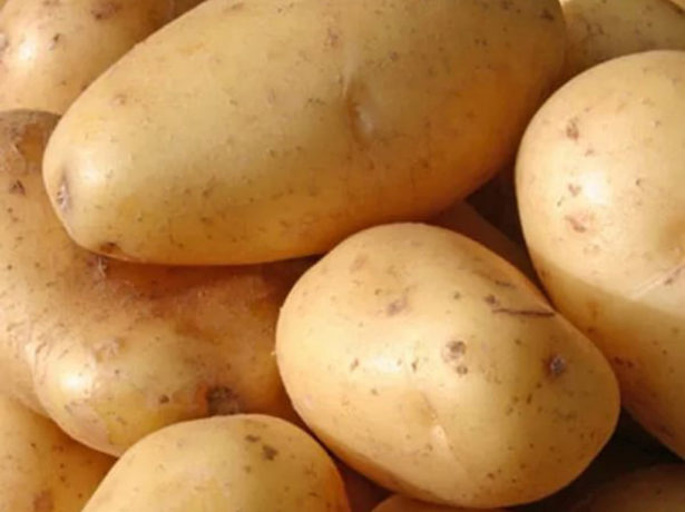 Цікава новинка картопляного ринку: сорт пан