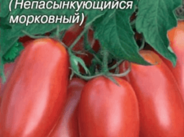 Пасинкуем томати правильно і вибираємо непасынкующиеся сорти