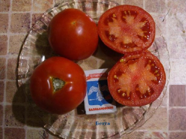 Сорт бетта-ранні польські помідори