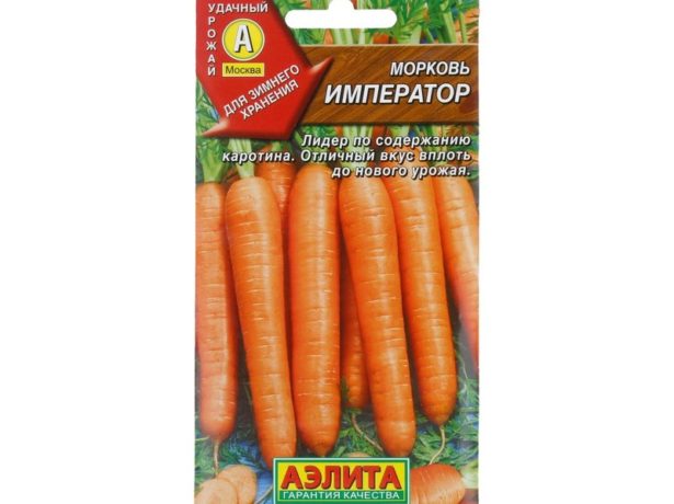 Морква-який сорт вибрати для зимового зберігання