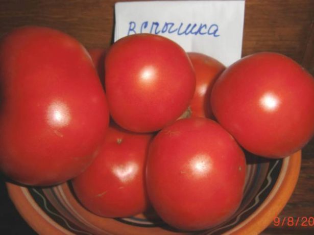 Спалах-відмінний сорт смачних ультраранніх томатів