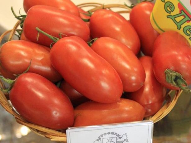 Урожай на славу: які томати відрізняються небувалою віддачею