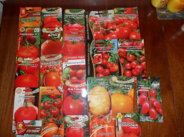 Голландські «петельки»: незвичайна пікіровки розсади томатів корінням вгору