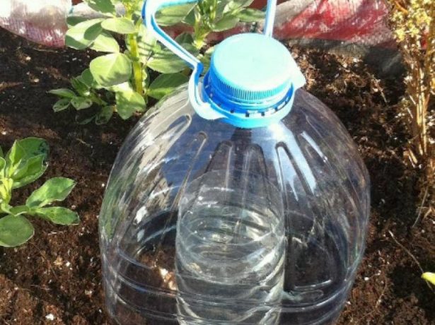 Як зробити крапельний полив своїми руками з пластикових пляшок