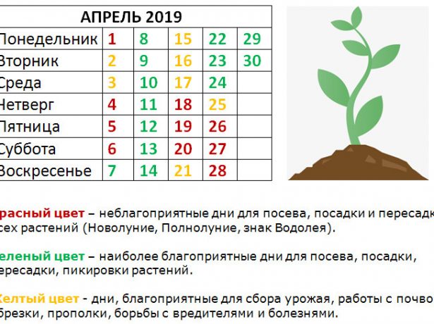 Зоряна геометрія дачника: місячний календар робіт в саду-городі на 2020-2021 рік