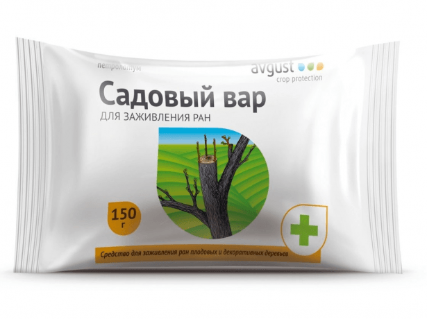 Обрізка червоної смородини після збору врожаю: основні правила і докладні інструкції