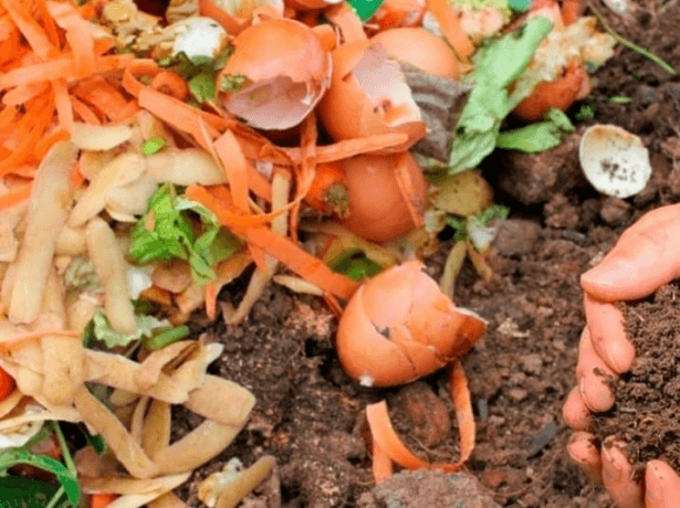 Найшвидший компост-в мішках для сміття