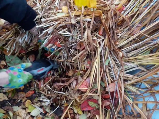 Підготовка саду та городу до зими після збору врожаю: необхідні осінні роботи і терміни їх проведення