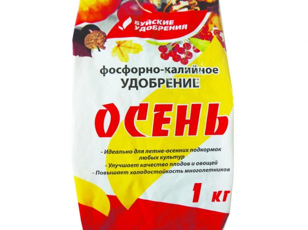 Підготовка саду та городу до зими після збору врожаю: необхідні осінні роботи і терміни їх проведення