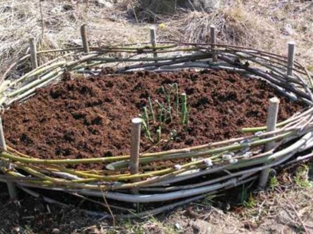 Підготовка саду та городу до зими після збору врожаю: необхідні осінні роботи і терміни їх проведення