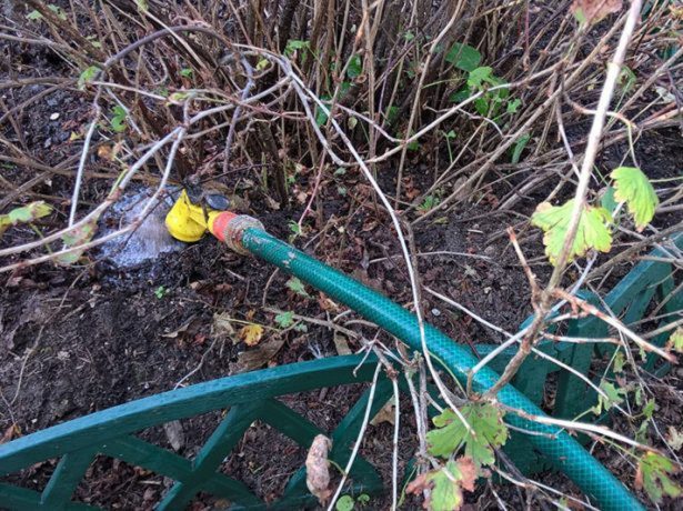 Підготовка саду та городу до зими після збору врожаю: необхідні осінні роботи і терміни їх проведення