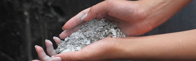 Зола як найкраще добриво для рослин